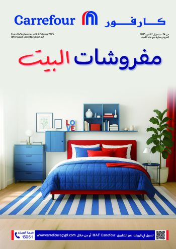 Carrefour offer thumb