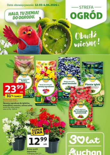 Auchan offer thumb