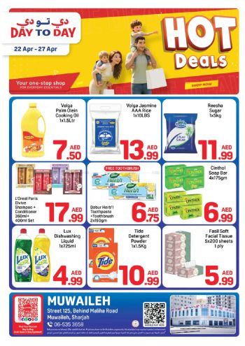 DaytoDay offer thumb