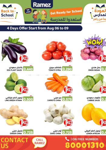 Ramez Center offer thumb