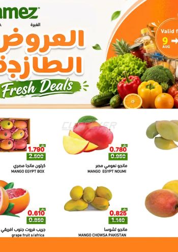 Ramez Center offer thumb