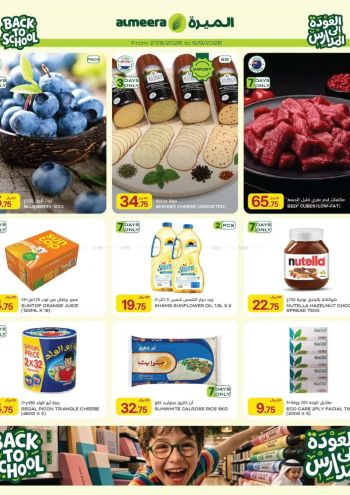 Al Meera Market offer thumb