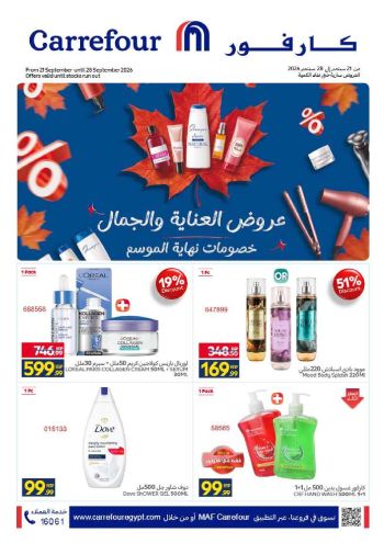 Carrefour offer thumb