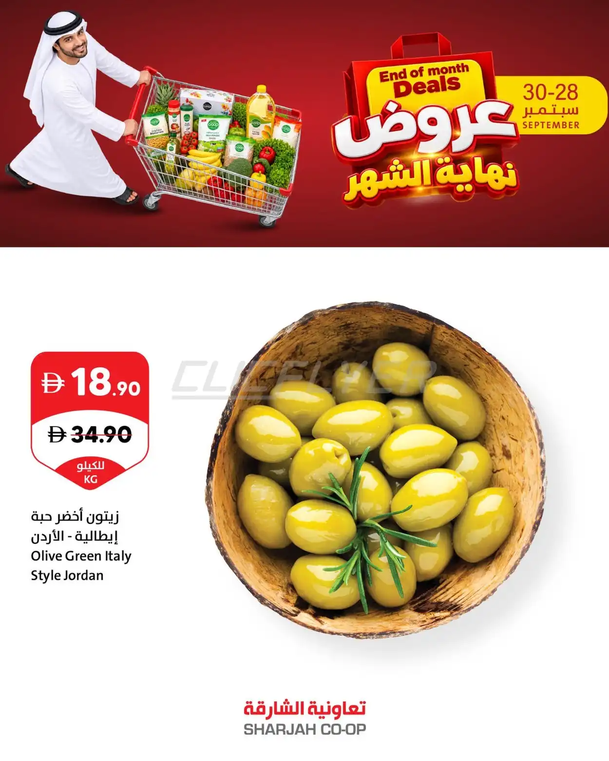 offerimage