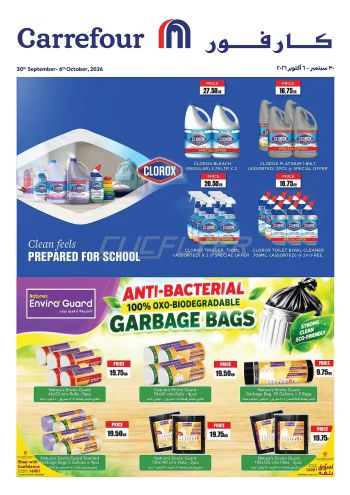 Carrefour offer thumb