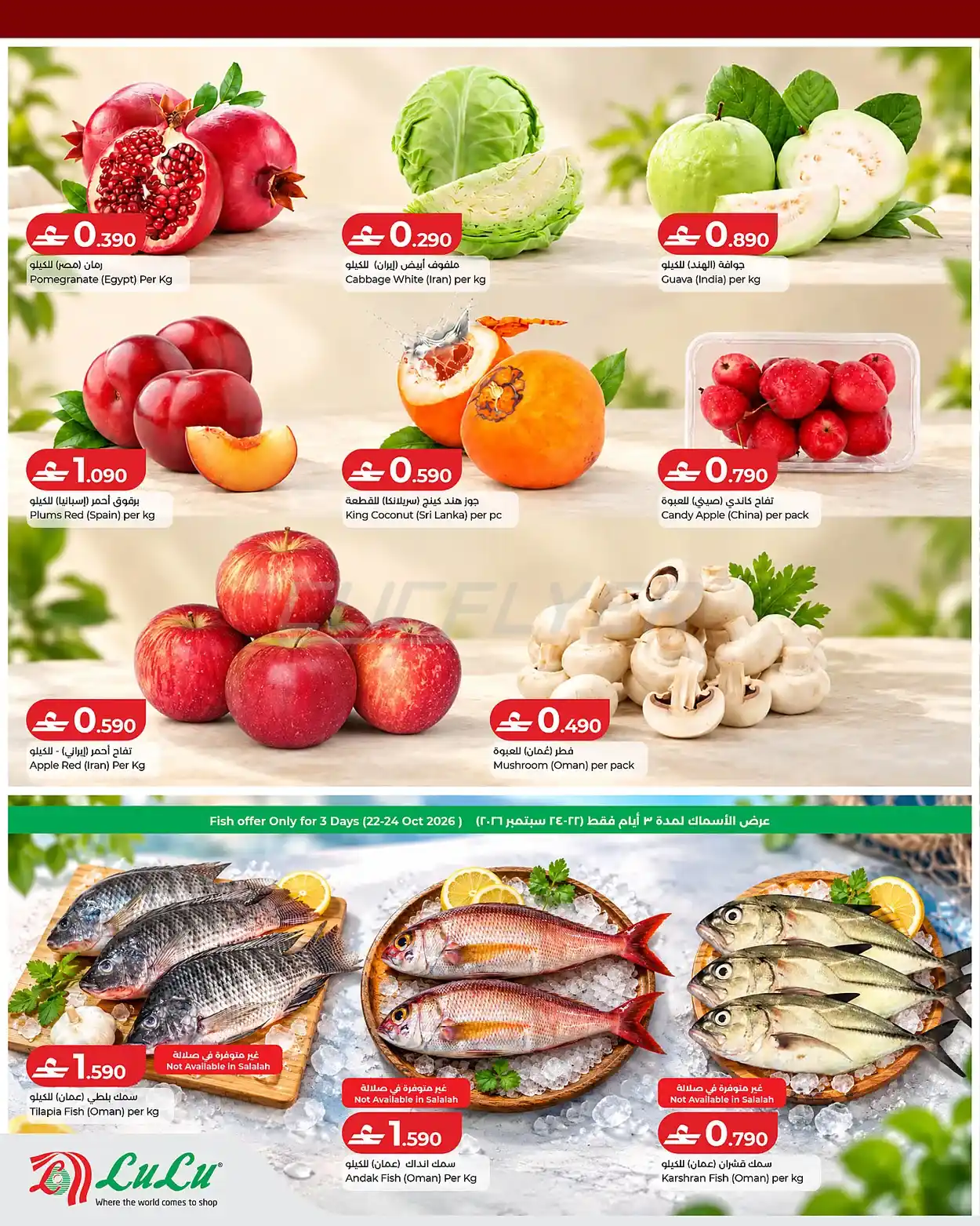 offerimage